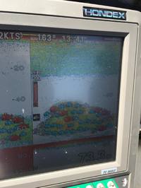 img_20160822-190521.jpg