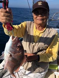 img_20161003-224115.jpg