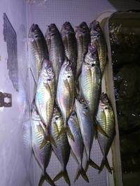 img_20161129-212319.jpg