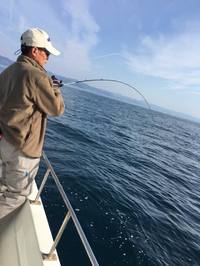 img_20161226-203032.jpg