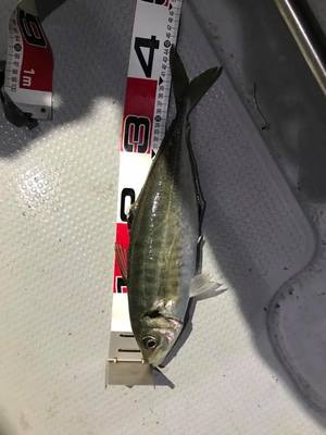 img_20170525-213010.jpg
