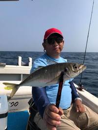 img_20170611-230543.jpg