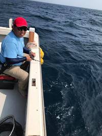img_20170611-230659.jpg