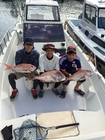 sm_a_20140915-094930.jpg