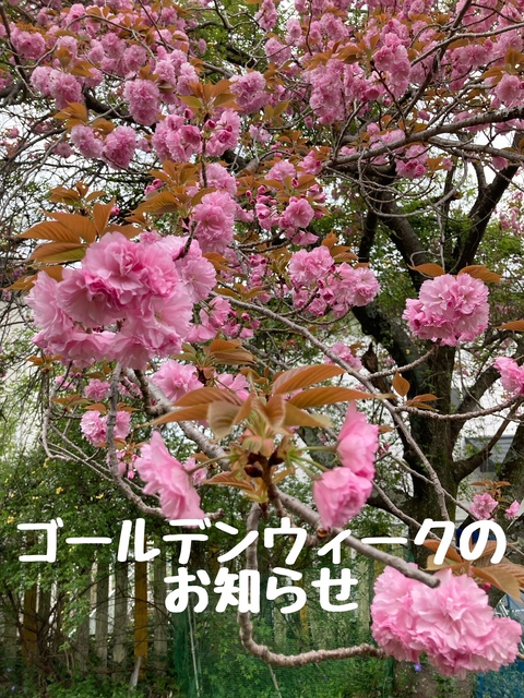 img_20230406-094632.jpg