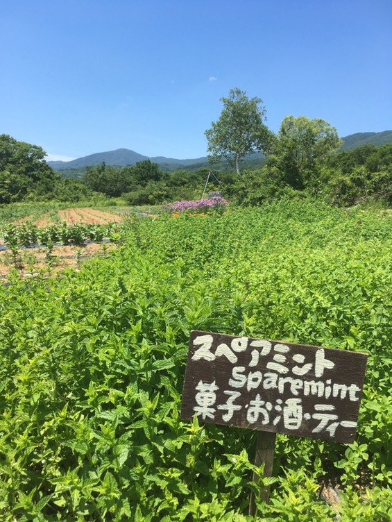 img_20190710-113026.jpg