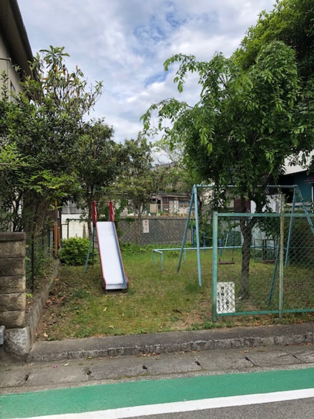 亀岡市内公園のモクセンの剪定