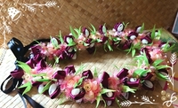 Haku Halau  ハクハラウ