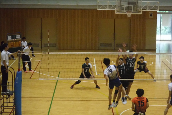 img_20191006-110505.jpg