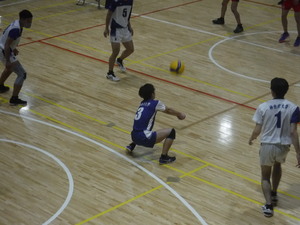 img_20220509-115536.jpg