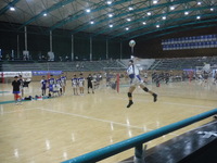 img_20230612-031420.jpg