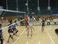 img_20230612-031504.jpg