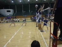 img_20230612-031554.jpg