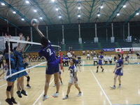 img_20230612-031758.jpg