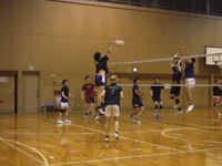 img_20230810-033753.jpg