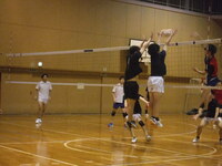 img_20230810-033813.jpg