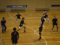 img_20240223-193713.jpg