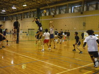 img_20240224-203603.jpg