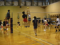 img_20240224-203701.jpg