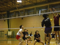img_20240224-203810.jpg