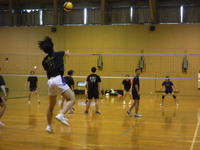 img_20240302-193415.jpg