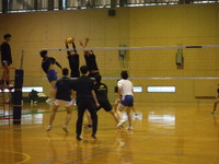img_20240309-202928.jpg