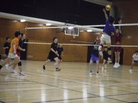 img_20240315-173451.jpg