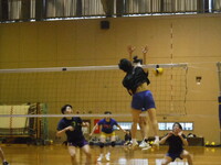 img_20240330-202750.jpg