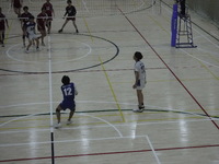 img_20240519-174342.jpg