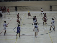 img_20240519-174441.jpg