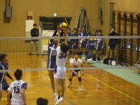 img_20241110-142934.jpg