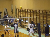 img_20241110-143050.jpg
