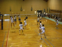 img_20241110-143156.jpg