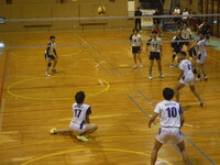 img_20241110-143238.jpg