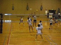 img_20241110-143253.jpg