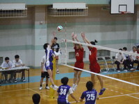 img_20250420-230346.jpg