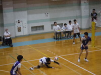 img_20250420-230502.jpg