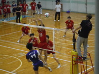 img_20250420-230833.jpg