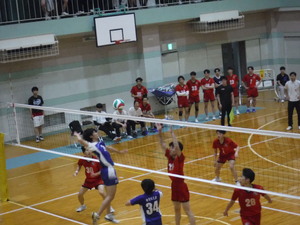 img_20250420-230907.jpg