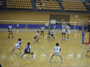 img_20250624-203218.jpg