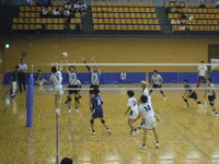 img_20250624-203250.jpg