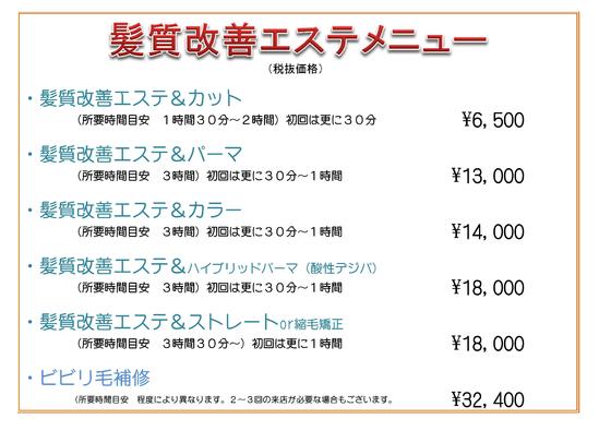 福岡 井尻 髪質改善専門店 ビビリ毛に朗報 髪質改善エステmenu
