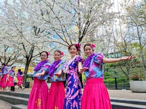 2026年3月 アーカイブ - 大井町フラダンス教室♡ 駅から1分の教室