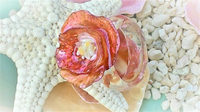ナミマガシワとヒトデ殻のお花のリング（赤
