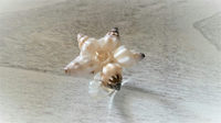 ふっくら白い貝のお花のリング