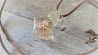 世界で1つのカメガイの泳ぐ水滴の標本ネックレス