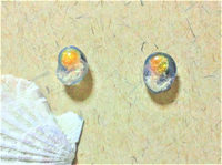 蓄光☆オレンジクラゲのピアス