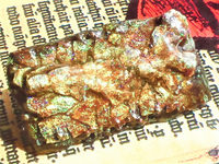 虹古竜ブローチC