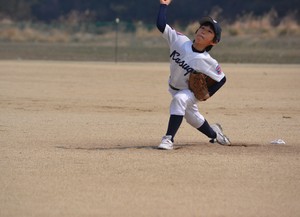 img_20170328-204534.jpg