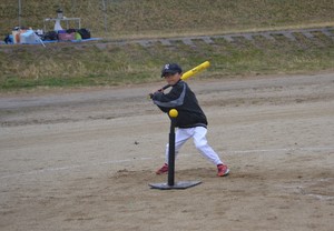 img_20170329-195346.jpg